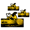 Custom Profile Acrylic Award with Stand-Offs