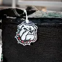 bagtag3.webp
