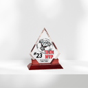 diamond glass award.png