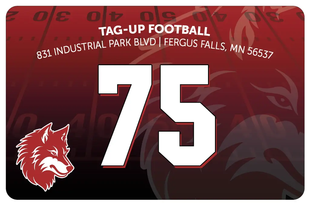 football bag insert.webp