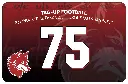 football bag insert.webp