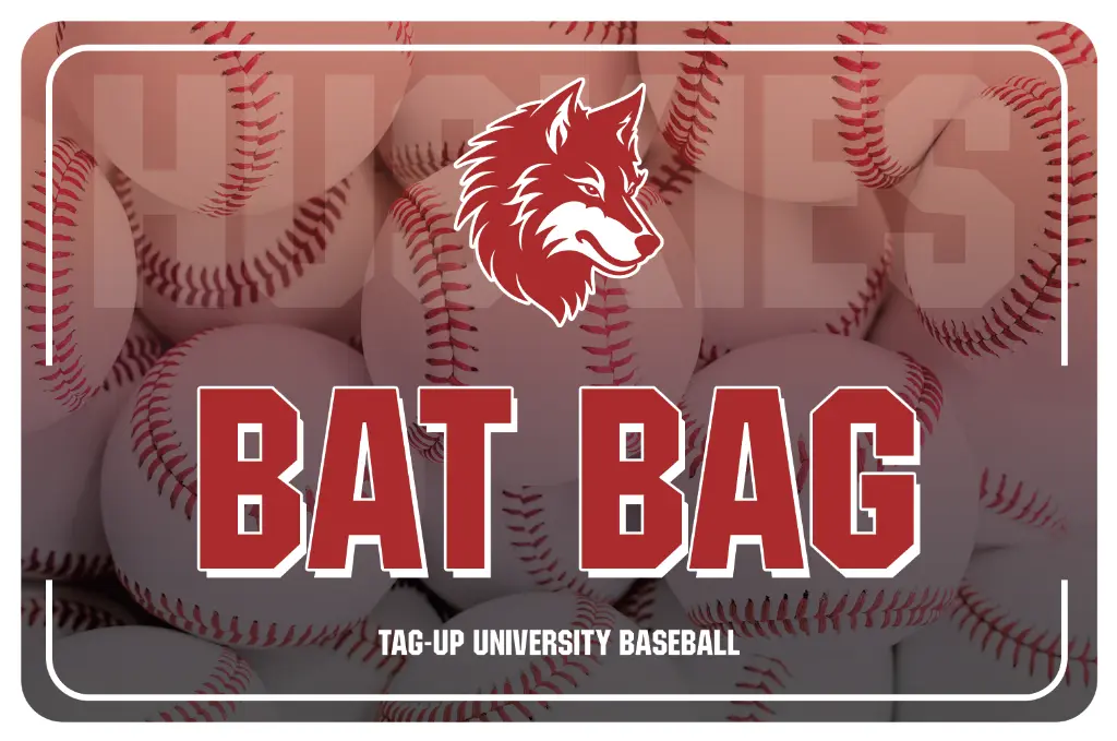 baseball bag insert.webp
