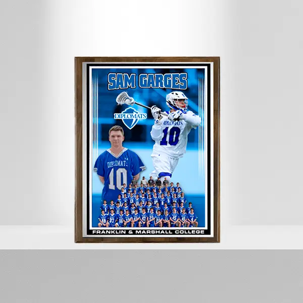 standard Plaque 6.webp