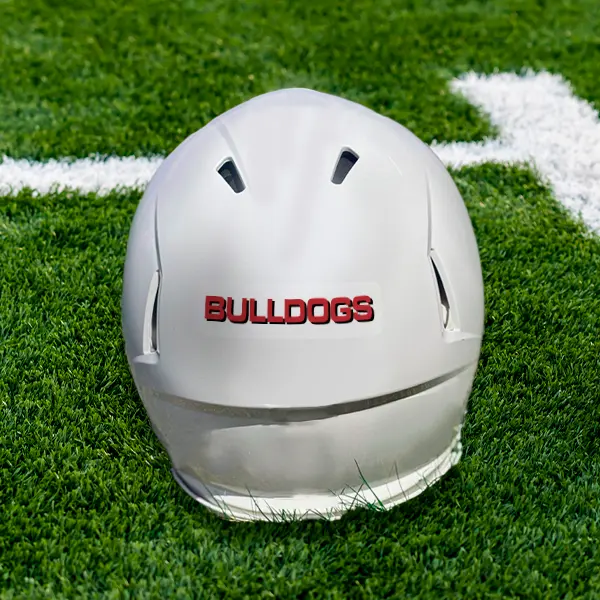 back panel decal clear background.webp