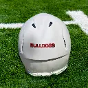 back panel decal clear background.webp