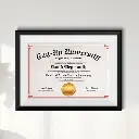 Diploma2.webp