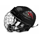 Logo Decal hockey.webp