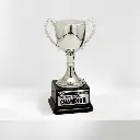 Silver cup trophy.webp