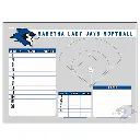softball wall mount.webp