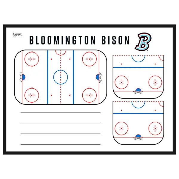 hockey wall mount.webp