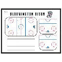 hockey wall mount.webp