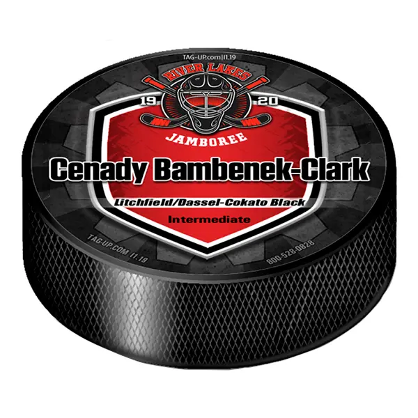 puck decal2.webp