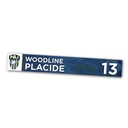 Travel Locker Plate