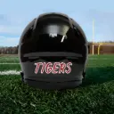 Helmet Back Panel Decal