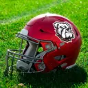 Helmet Logo Decal