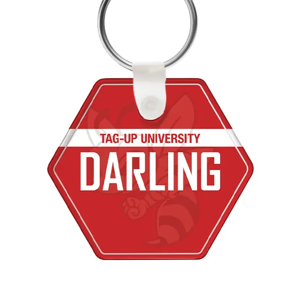 Profile Zipper Pulls