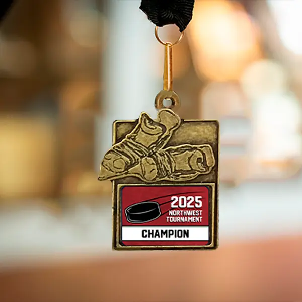 Hockey Skates Medals