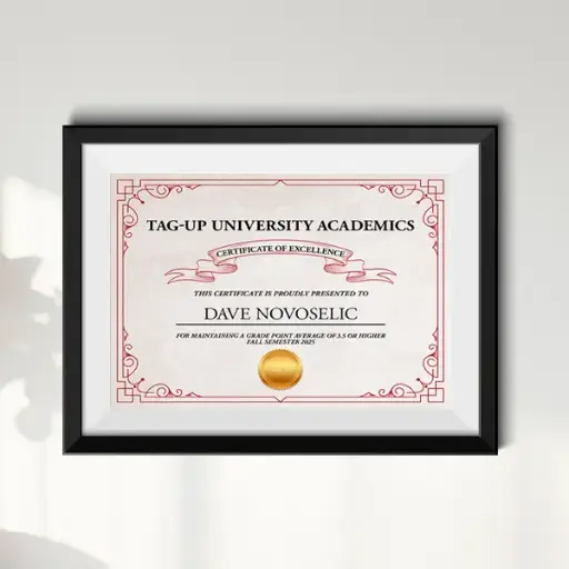 Achievement Award