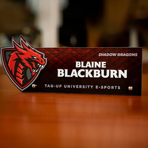 Profile Acrylic Award with Stand-Offs