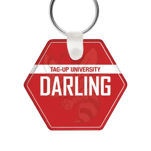 [ZPP] Profile Zipper Pulls