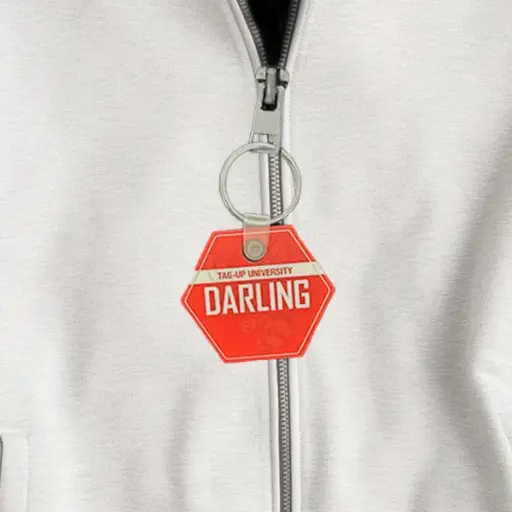 [ZPP] Profile Zipper Pulls
