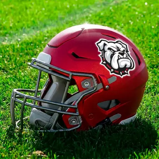 Helmet Logo Decal